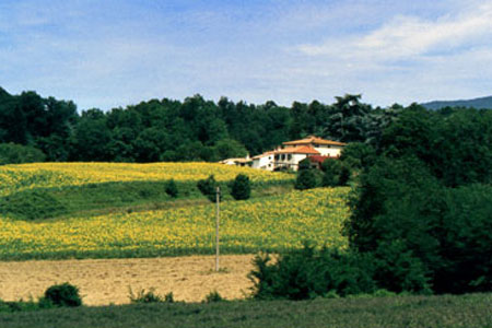 Agriturismo La Topaia in Mugello vicino Firenze Agriturismo La Topaia in Mugello vicino Firenze
