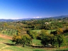 Fattoria il Milione Agriturismo a Firenze