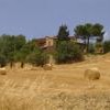 Agriturismo Il Colombaiolo vicino Pienza